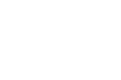 Air Vuisa Logo